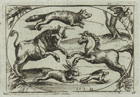 TvB G 4425
          <br/>
          Twaalf afbeeldingen met dieren
          <br/>
          <em>Staker, Heinrich (??)</em>